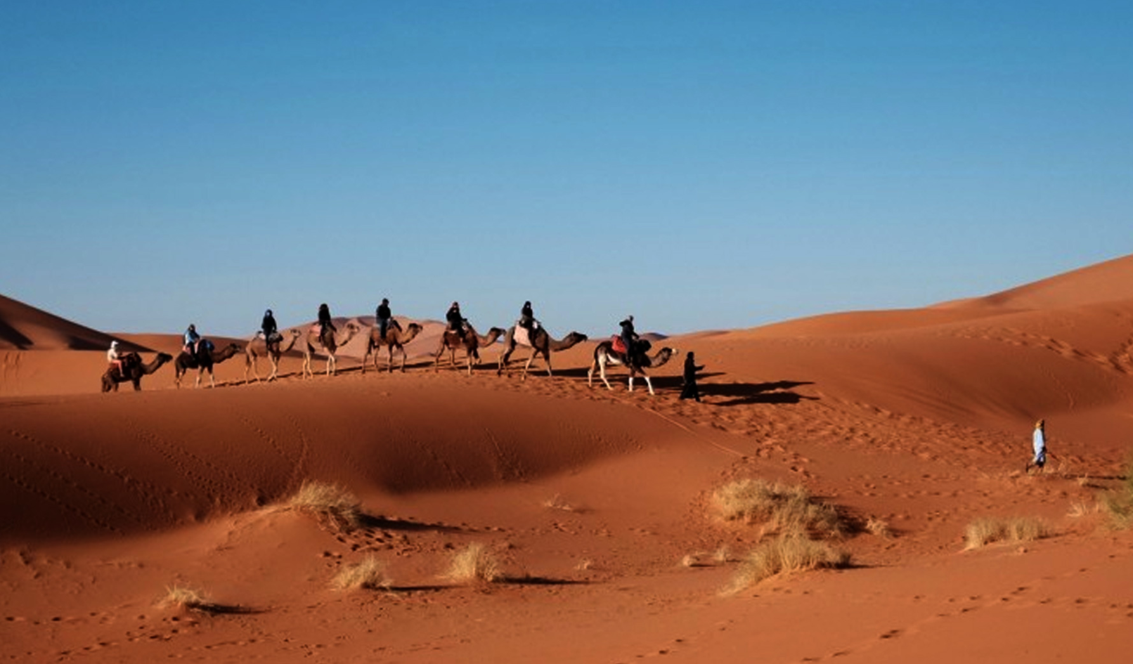 My Haveli Branding + Logo Design